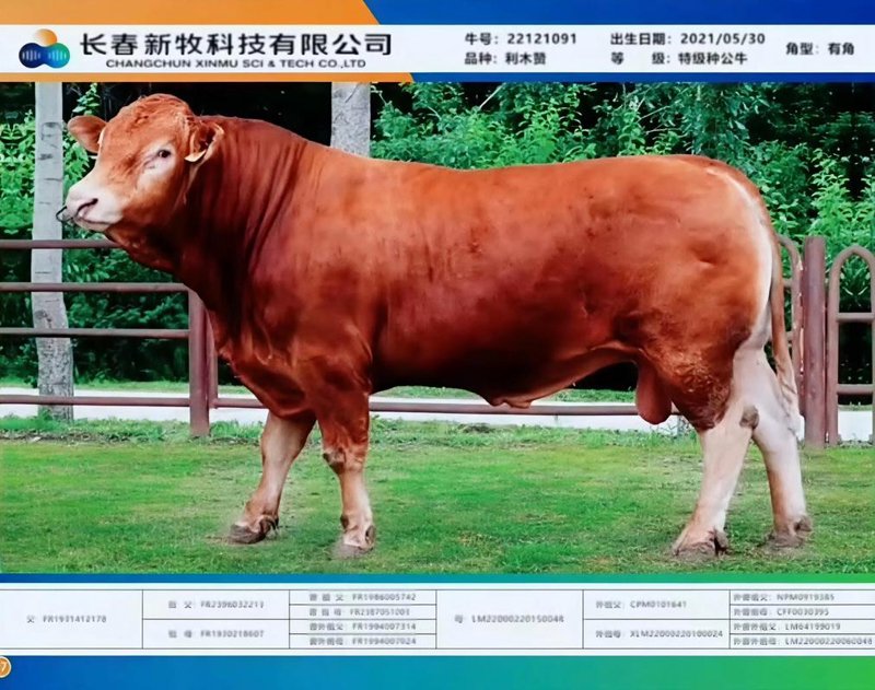中珊养殖场：拥抱绿色生态养殖